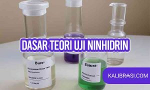 Dasar Teori Uji Ninhidrin