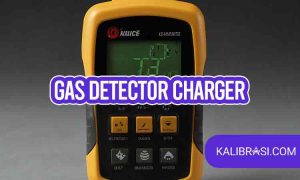gas detector charger