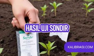 hasil uji sondir