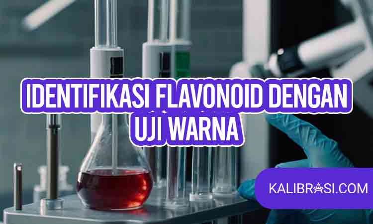 identifikasi flavonoid dengan uji warna