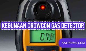 kegunaan crowcon gas detector