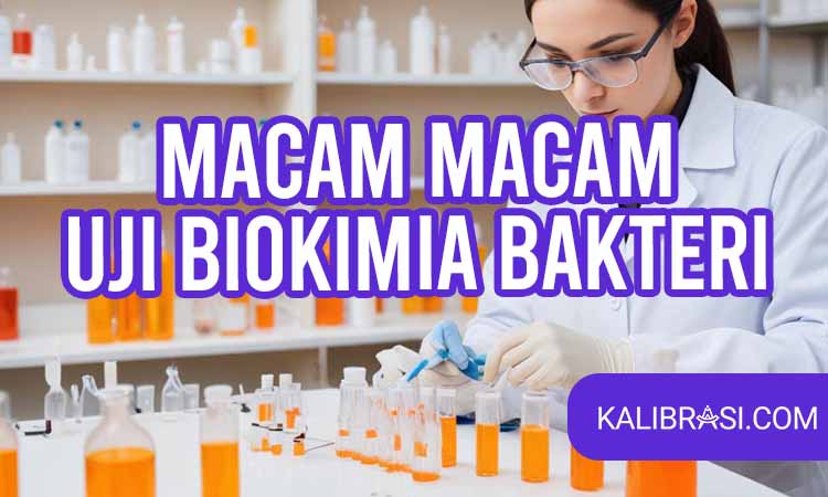macam-macam uji biokimia bakteri