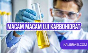 macam-macam uji karbohidrat