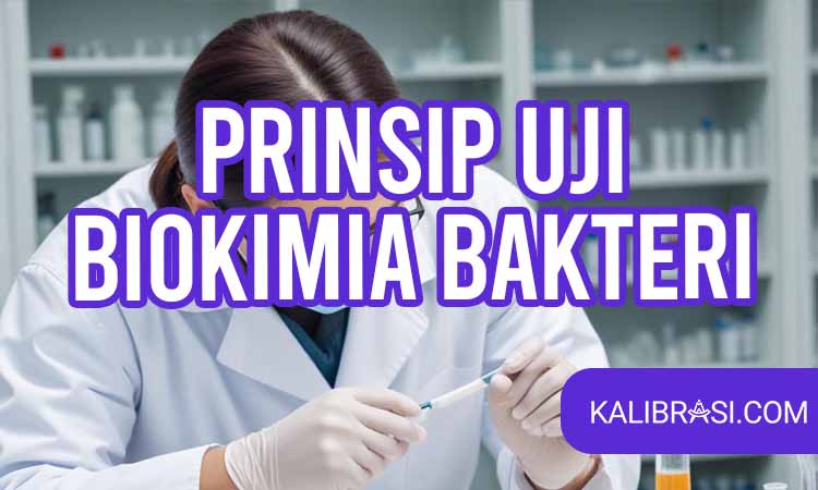Prinsip Uji Biokimia Bakteri