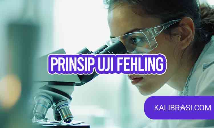 prinsip uji fehling