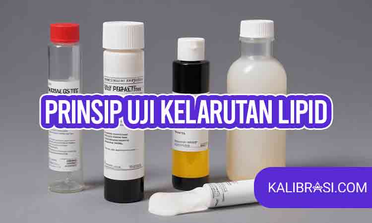 prinsip uji kelarutan lipid