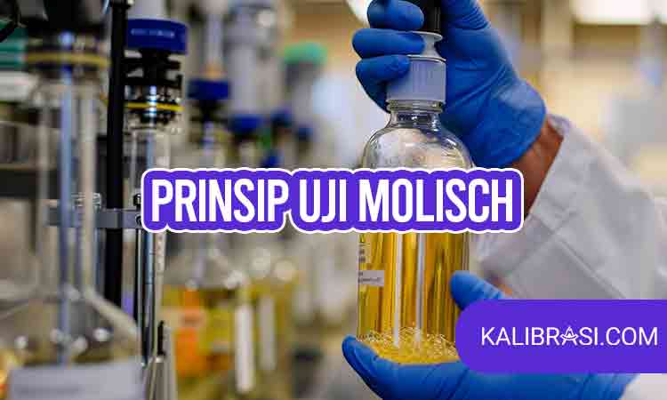 prinsip uji molisch