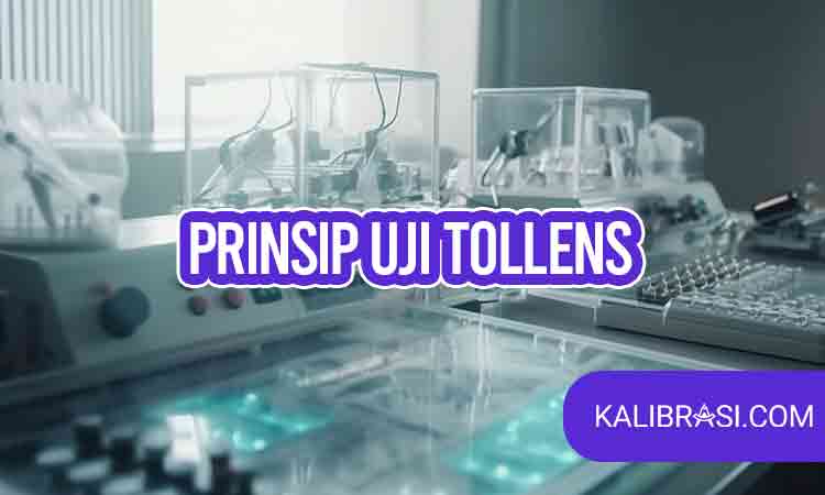 prinsip uji tollens