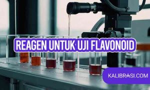 reagen uji flavonoid