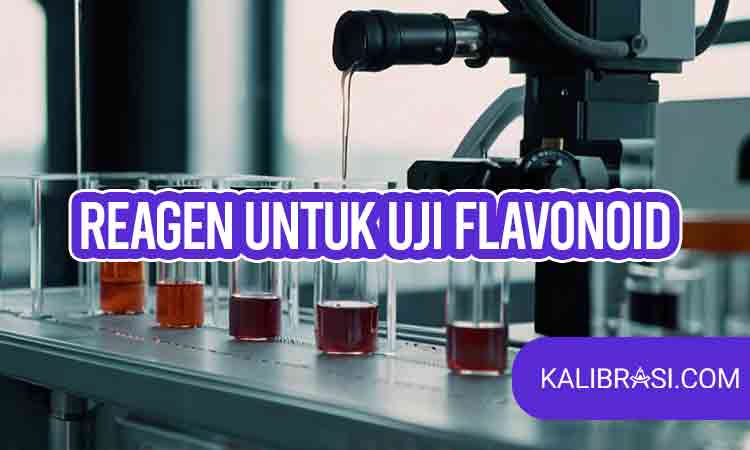 reagen uji flavonoid