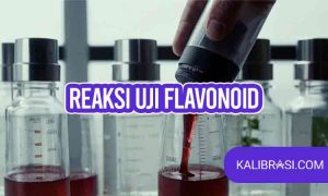 reaksi uji flavonoid