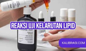 reaksi uji kelarutan lipid
