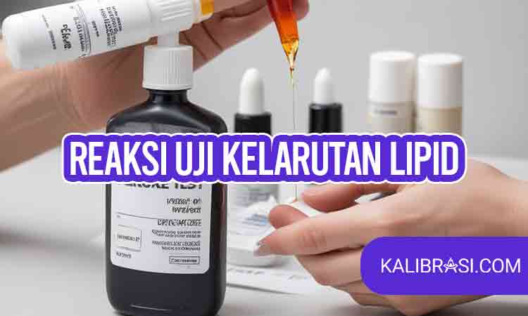 reaksi uji kelarutan lipid