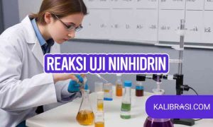reaksi uji ninhidrin