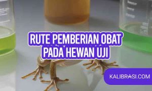 rute pemberian obat pada hewan uji