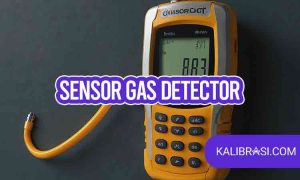 sensor gas detector