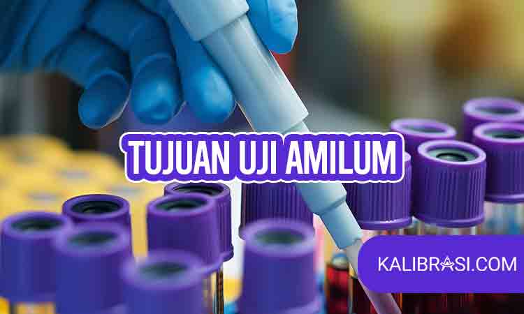 tujuan uji amilum
