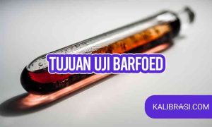 tujuan uji barfoed