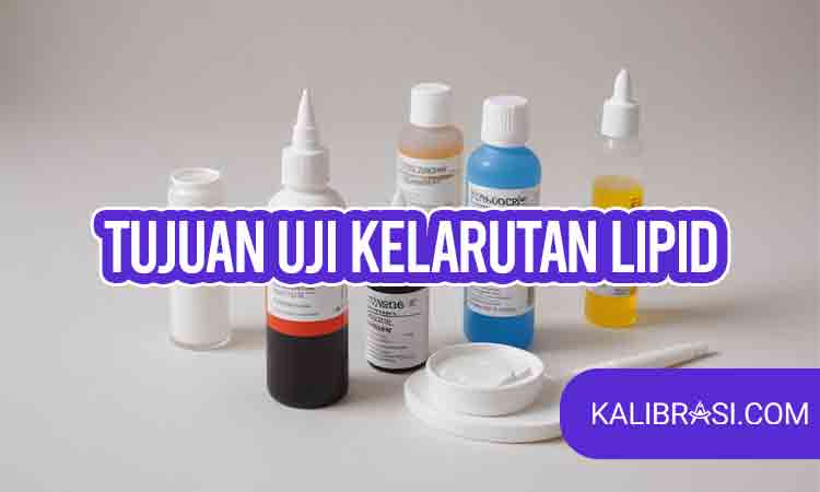 tujuan uji kelarutan lipid