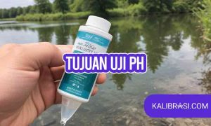 tujuan uji pH