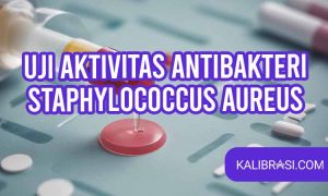 Uji aktivitas antibakteri staphylococcus aureus