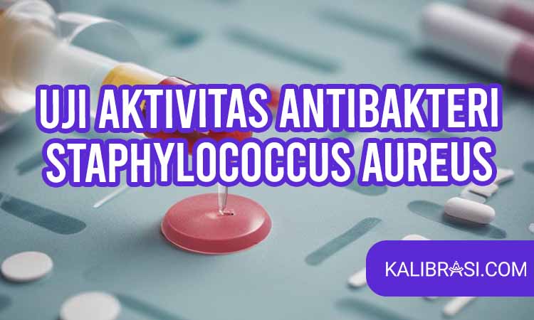 Uji aktivitas antibakteri staphylococcus aureus