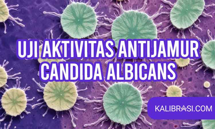 uji aktivitas antijamur candida albicans