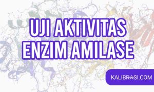 uji aktivitas enzim amilase