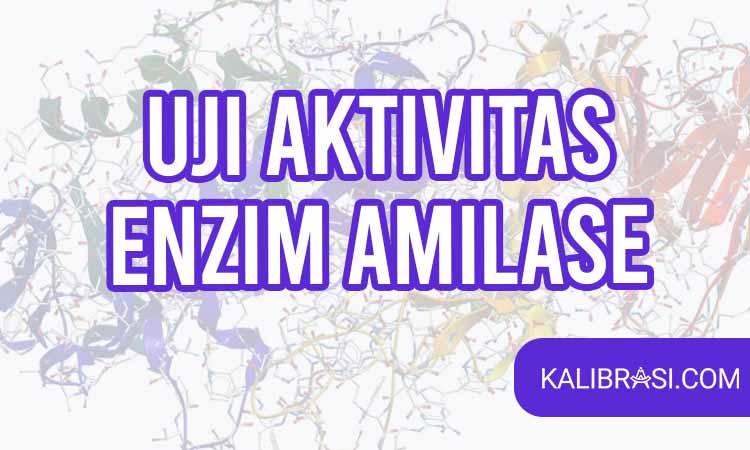 uji aktivitas enzim amilase