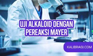 uji alkaloid dengan pereaksi mayer