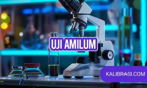 Uji Amilum