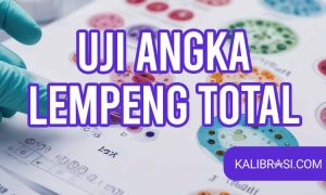 uji angka lempeng total
