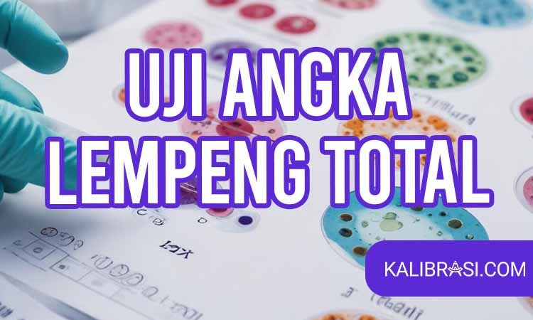 uji angka lempeng total