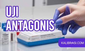 uji antagonis