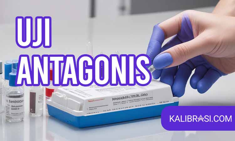 uji antagonis