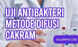 uji antibakteri metode difusi cakram