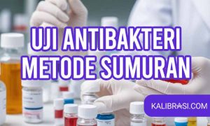 uji antibakteri metode sumuran