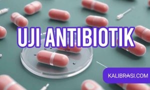 Uji antibiotik