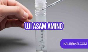 uji asam amino