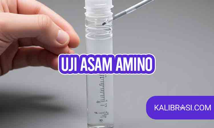 uji asam amino
