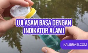 uji asam basa dengan indikator alami