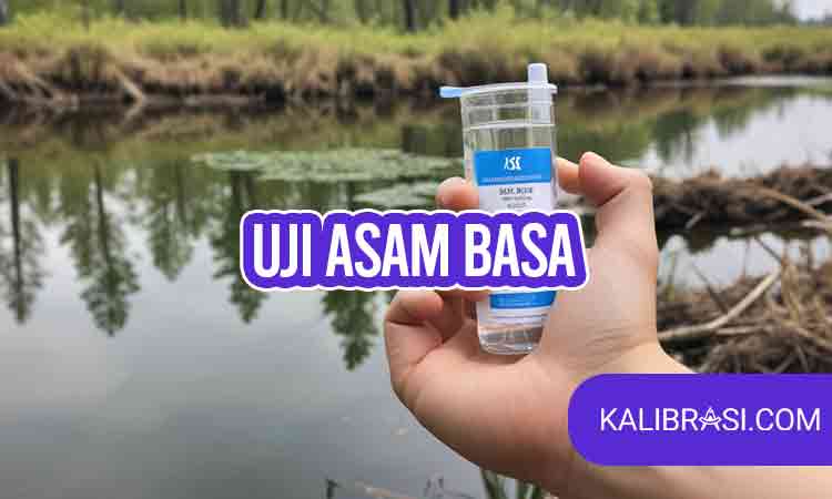 uji asam basa