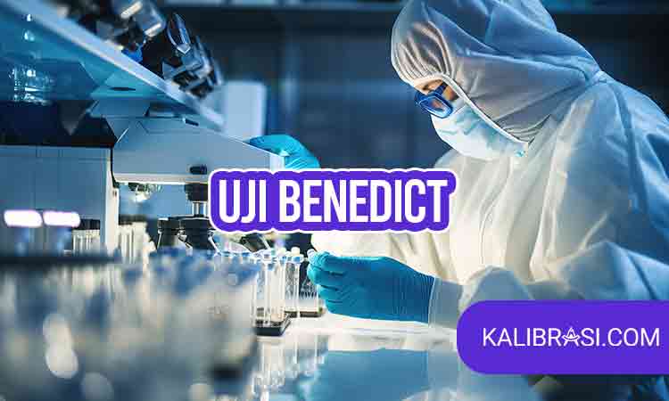 Uji Benedict