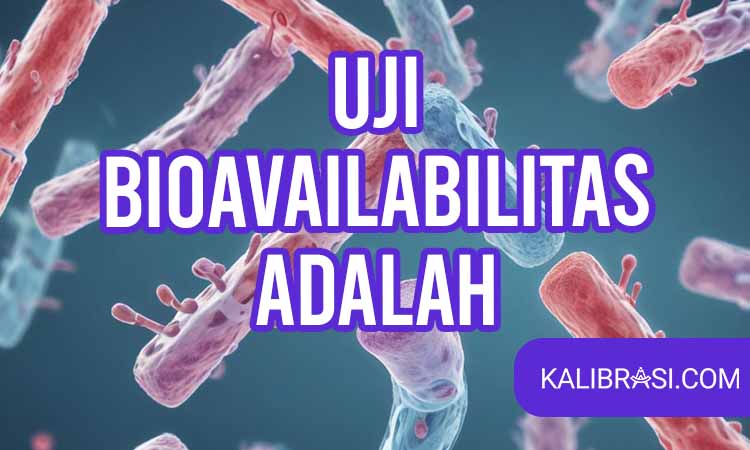 Uji Bioavailabilitas