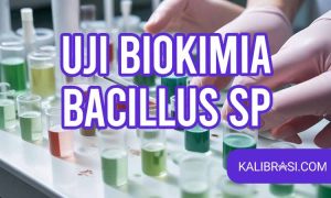 uji biokimia bacillus sp