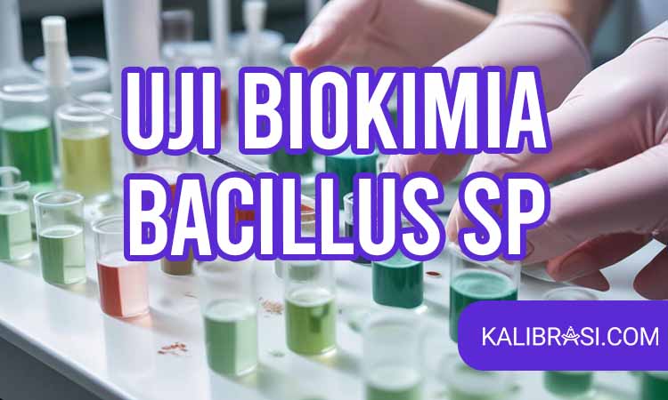 uji biokimia bacillus sp
