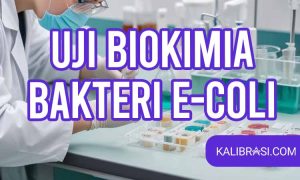 uji biokimia bakteri e coli