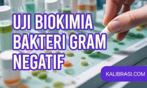 uji biokimia bakteri gram negatif