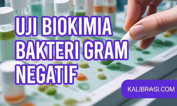uji biokimia bakteri gram negatif