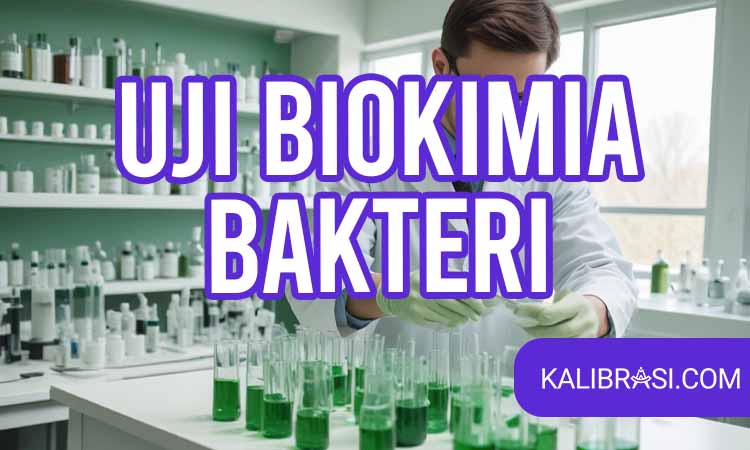 Uji Biokimia Bakteri